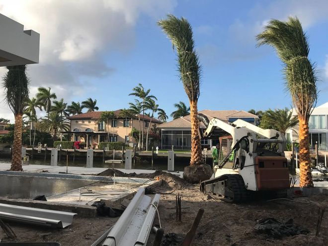 Tree Preparation & Clean Up